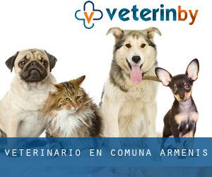 veterinario en Comuna Armeniş