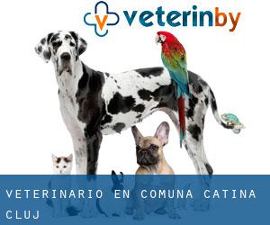 veterinario en Comuna Cătina (Cluj)