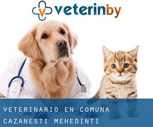 veterinario en Comuna Căzăneşti (Mehedinţi)