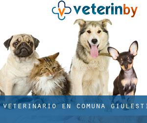 veterinario en Comuna Giuleşti
