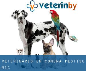 veterinario en Comuna Pestişu Mic