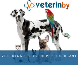 veterinario en Dépôt-Échouani