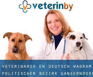 veterinario en Deutsch-Wagram (Politischer Bezirk Gänserndorf, Baja Austria)