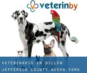 veterinario en Dillen (Jefferson County, Nueva York)