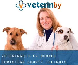 veterinario en Dunkel (Christian County, Illinois) veterinario en Dunkel (Christian County, Illinois)