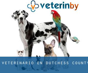 veterinario en Dutchess County veterinario en Dutchess County
