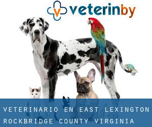 veterinario en East Lexington (Rockbridge County, Virginia)