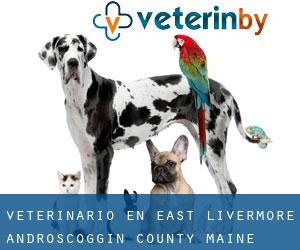 veterinario en East Livermore (Androscoggin County, Maine)