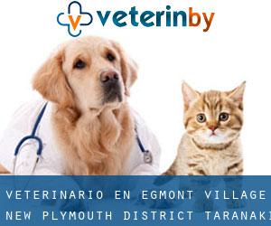 veterinario en Egmont Village (New Plymouth District, Taranaki)