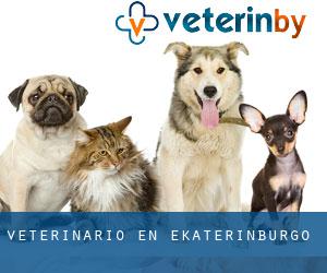 veterinario en Ekaterinburgo
