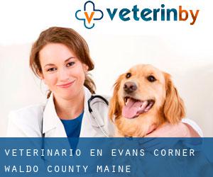 veterinario en Evans Corner (Waldo County, Maine)