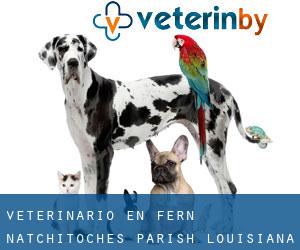 veterinario en Fern (Natchitoches Parish, Louisiana)