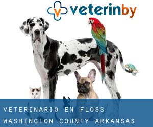 veterinario en Floss (Washington County, Arkansas)