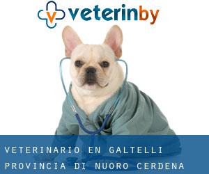 veterinario en Galtellì (Provincia di Nuoro, Cerdeña)