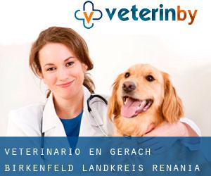 veterinario en Gerach (Birkenfeld Landkreis, Renania-Palatinado)