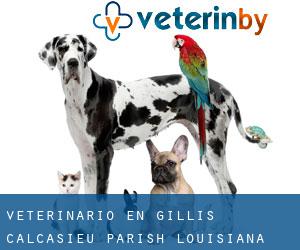 veterinario en Gillis (Calcasieu Parish, Louisiana)