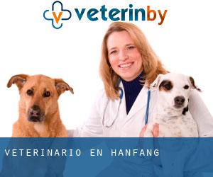 veterinario en Hanfang veterinario en Hanfang