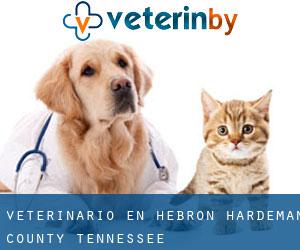 veterinario en Hebron (Hardeman County, Tennessee)