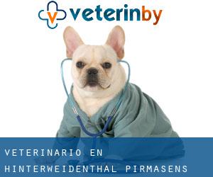 veterinario en Hinterweidenthal (Pirmasens Landkreis, Renania-Palatinado)