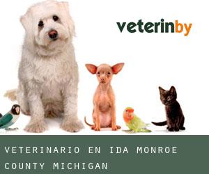 veterinario en Ida (Monroe County, Michigan)