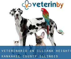 veterinario en Illiana Heights (Kankakee County, Illinois)
