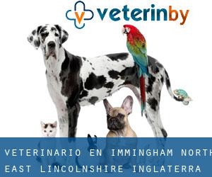 veterinario en Immingham (North East Lincolnshire, Inglaterra)