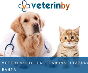veterinario en Itabuna (Itabuna, Bahía)