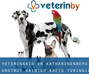 veterinario en Katharinenberg (Unstrut-Hainich-Kreis, Turingia)