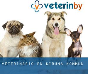 veterinario en Kiruna Kommun