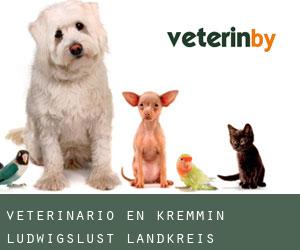 veterinario en Kremmin (Ludwigslust Landkreis, Mecklemburgo-Pomerania Occidental)
