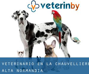 veterinario en La Chauvellière (Alta Normandía)