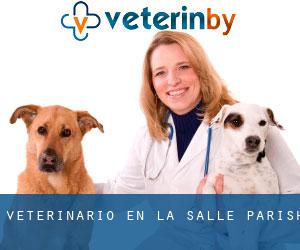 veterinario en La Salle Parish