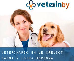 veterinario en Le Creusot (Saona y Loira, Borgoña)