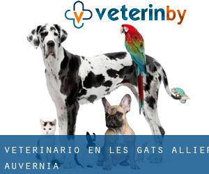 veterinario en Les Gats (Allier, Auvernia)