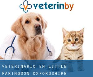 veterinario en Little Faringdon (Oxfordshire, Inglaterra)