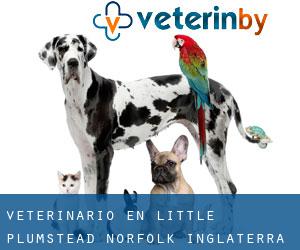veterinario en Little Plumstead (Norfolk, Inglaterra)