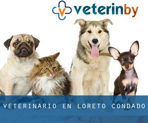 veterinario en Loreto (Condado)
