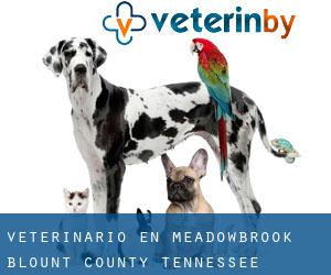 veterinario en Meadowbrook (Blount County, Tennessee)
