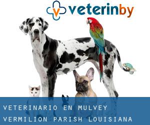 veterinario en Mulvey (Vermilion Parish, Louisiana)