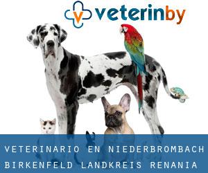 veterinario en Niederbrombach (Birkenfeld Landkreis, Renania-Palatinado)