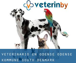 veterinario en Odense (Odense Kommune, South Denmark) veterinario en Odense (Odense Kommune, South Denmark)