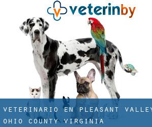 veterinario en Pleasant Valley (Ohio County, Virginia Occidental)