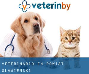 veterinario en Powiat sławieński