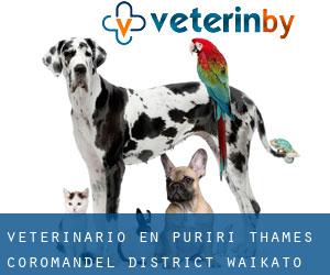 veterinario en Puriri (Thames-Coromandel District, Waikato)