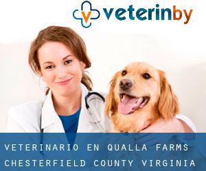 veterinario en Qualla Farms (Chesterfield County, Virginia)
