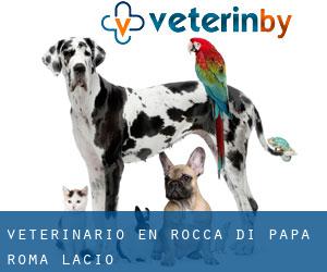 veterinario en Rocca di Papa (Roma, Lacio)