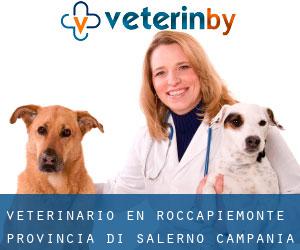 veterinario en Roccapiemonte (Provincia di Salerno, Campania)