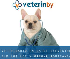 veterinario en Saint-Sylvestre-sur-Lot (Lot y Garona, Aquitania)