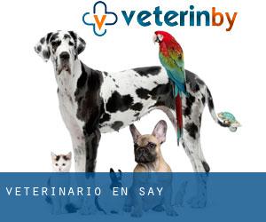 veterinario en Say