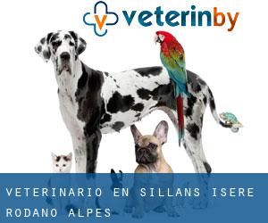 veterinario en Sillans (Isere, Ródano-Alpes)